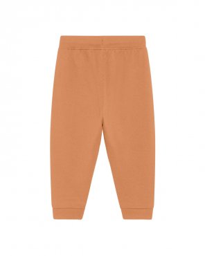 Hose - Baby Shake - Colours